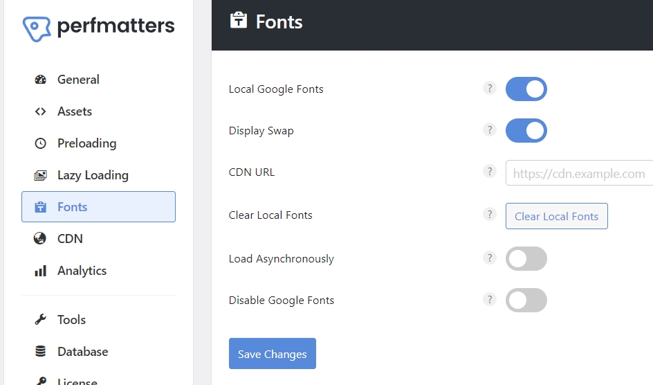Perfmatters Font options settings