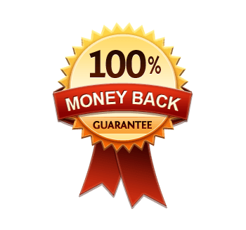 WPservice Money back guarantee
