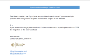 Paid Expert Speed Analysis of the WordPress website - Image 12