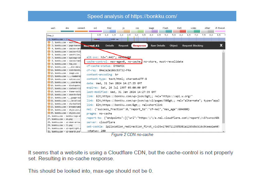 Paid Expert Speed Analysis of the WordPress website 3 Paid Expert Speed Analysis of the WordPress website - Image 3
