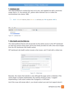Paid Expert Speed Analysis of the WordPress website - Image 9