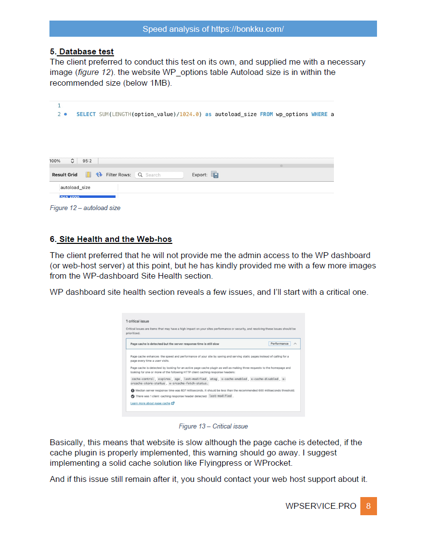 Paid Expert Speed Analysis of the WordPress website 9 Paid Expert Speed Analysis of the WordPress website - Image 9